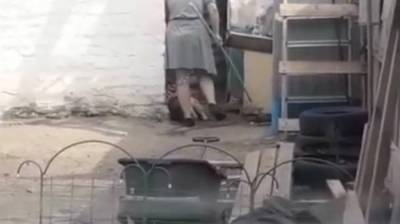 Воронежцы сняли на видео жестокое избиение собаки хозяйкой - vestivrn.ru - Воронеж
