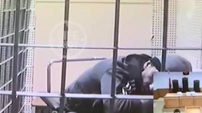 Михаил Абызов - Михаила Абызова на носилках принесли в комнату для видеоконференцсвязи, чтобы провести заседание Мосгорсуда - piter.tv