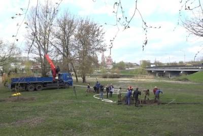 На пляжах Тамбова высадят почти 100 деревьев - tambov.mk.ru - Мирный