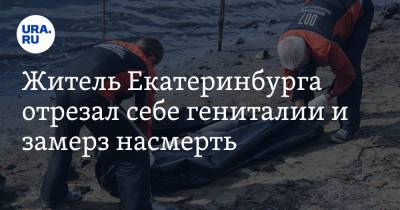 Житель Екатеринбурга отрезал себе гениталии и замерз насмерть. Очевидцы нашли возле трупа серп - ura.news - Екатеринбург