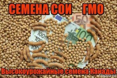 Украина превратилась из житницы Европы в ГМО-плантацию - lenta.ua