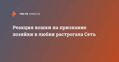 Реакция кошки на признание хозяйки в любви растрогала Сеть - ren.tv