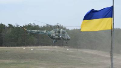 В Украине успешно испытали летающего ликвидатора российских БПЛА - lenta.ua