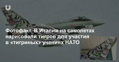 Фотофакт. В Италии на самолетах нарисовали тигров для участия в «тигриных» учениях НАТО - news.tut.by - Англия - Португалия - Европа