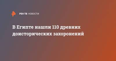 В Египте нашли 110 древних доисторических захоронений - ren.tv - Египет