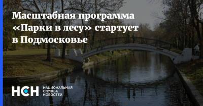 Андрей Воробьев - Масштабная программа «Парки в лесу» стартует в Подмосковье - nsn.fm - Московская обл.