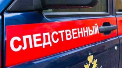 Тиктокер из Подмосковья пойдет под суд за случайное убийство брата во время трюка - newinform.com - Московская обл.