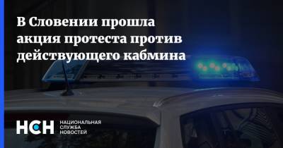 В Словении прошла акция протеста против действующего кабмина - nsn.fm - Словения