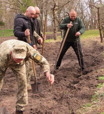 В Черкасской области возле музея семьи Симиренко высадили сад легендарных яблонь - lenta.ua - Украина - Черкасская обл. - Черкесск