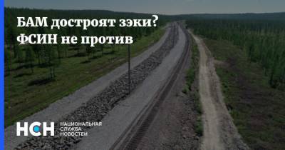 БАМ достроят зэки? ФСИН не против - nsn.fm - Строительство