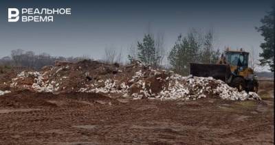 В Апастовском районе РТ ликвидировали нелегальную свалку стройотходов - realnoevremya.ru - респ. Татарстан - район Лаишевский - Экология