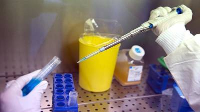 Ринат Максютов - Новую вакцину от оспы могут зарегистрировать к осени - iz.ru