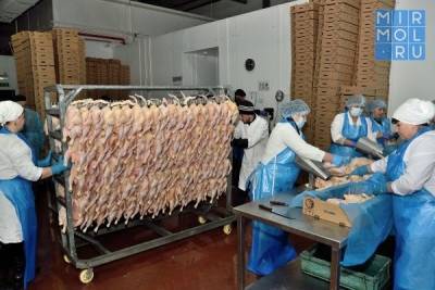 В Дагестане на крупной птицефабрике запустят обновленное производство кормов - mirmol.ru - Нижний Новгород - респ. Дагестан - район Магарамкентский