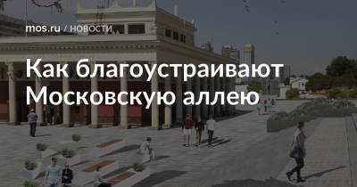 Как благоустраивают Московскую аллею - mos.ru - Москва - Благоустройство