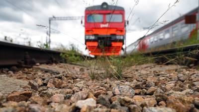 Эрмитаж на рельсах: железную дорогу в Старой деревне спрячут в тоннель - dp.ru