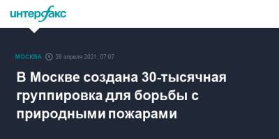Петр Бирюков - В Москве создана 30-тысячная группировка для борьбы с природными пожарами - interfax.ru - Москва