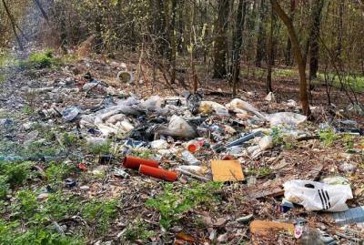 Настя Зинченко ужаснулась количеству мусора в лесу под Киевом: Никогда подобного не встречала! - kp.ua - Киев - Херсон - Ухань