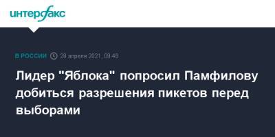 Элла Памфилова - Николай Рыбаков - Лидер "Яблока" попросил Памфилову добиться разрешения пикетов перед выборами - interfax.ru - Москва