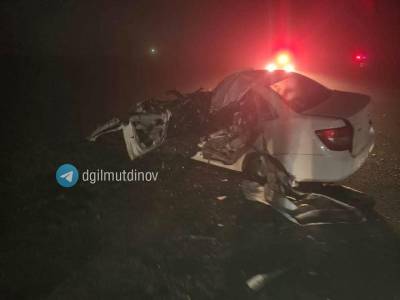 В Башкирии половину легковушки снесло встречным грузовиком при попытке обгона - ufacitynews.ru - Башкирия - Уфа - Оренбург