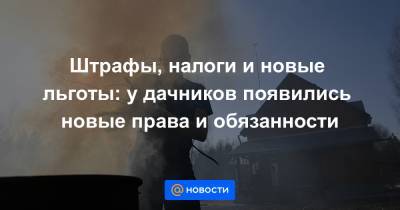 Штрафы, налоги и новые льготы: у дачников появились новые права и обязанности - news.mail.ru