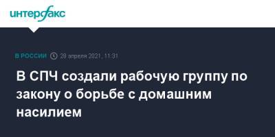 Татьяна Мерзлякова - В СПЧ создали рабочую группу по закону о борьбе с домашним насилием - interfax.ru - Москва