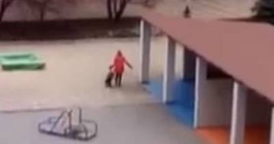 Волочила по земле: в Запорожье воспитательница издевалась над ребенком, которого забыла во дворе (видео) - tsn.ua - Запорожье