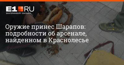 Валерий Горелых - Оружие принес Шарапов: подробности об арсенале, найденном в Краснолесье - e1.ru - Екатеринбург - Свердловская обл.