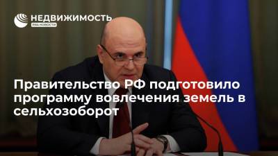 Михаил Мишустин - Правительство РФ подготовило программу вовлечения земель в сельхозоборот - realty.ria.ru - Москва - Россия