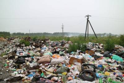 В Тихвине уберут две незаконные свалки, занимающие более 43 тысяч квадратных метров - ivbg.ru - Ленинградская обл. - Тихвин