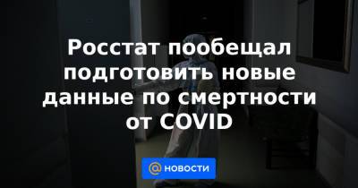 Павел Малков - Росстат пообещал подготовить новые данные по смертности от COVID - news.mail.ru