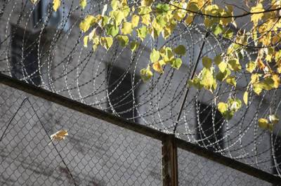 Задолжавшим по алиментам заключённым хотят помочь в трудоустройстве - pnp.ru
