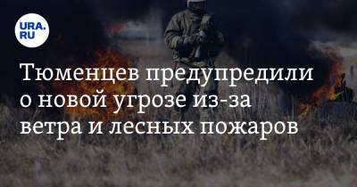 Тюменцев предупредили о новой угрозе из-за ветра и лесных пожаров - ura.news - Тюменская обл. - Тобольск