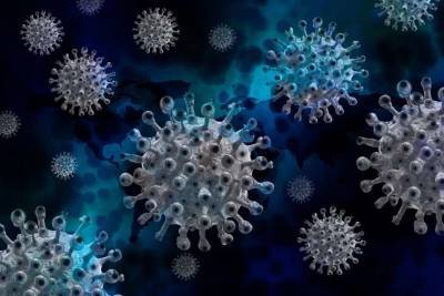Вирусологи выяснили, почему коронавирус быстро размножается в организме - lenta.ua - Швейцария