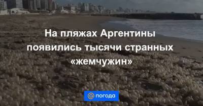 Екатерина Гура - На пляжах Аргентины появились тысячи странных «жемчужин» - news.mail.ru - Бразилия - Аргентина - Уругвай - Экология