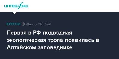 Первая в РФ подводная экологическая тропа появилась в Алтайском заповеднике - interfax.ru - Москва - респ. Алтай