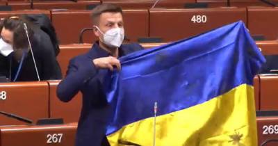Алексей Гончаренко - Петр Толстой - Что общего между ПАСЕ и Фейсбуком. Почему обнуление голоса Гончаренко - дело не личное - dsnews.ua