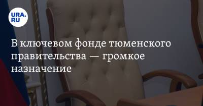 В ключевом фонде тюменского правительства — громкое назначение - ura.news - Тюмень