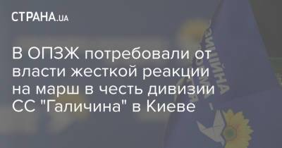 В ОПЗЖ потребовали от власти жесткой реакции на марш в честь дивизии СС "Галичина" в Киеве - strana.ua - Киев