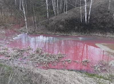 Названа возможная причина окрашивания в розовый цвет одной из рек в Рязани - ya62.ru - Рязанская обл. - Рязань - Экология