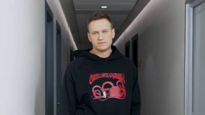 Навальный - Жалобы Навального на колонию рассмотрит Петушинский суд - newinform.com