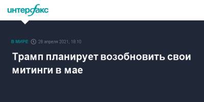 Дональд Трамп - Трамп планирует возобновить свои митинги в мае - interfax.ru - Москва - США