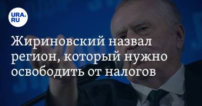 Владимир Жириновский - Жириновский назвал регион, который нужно освободить от налогов - ura.news