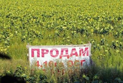 Юлия Тимошенко - Юлия Тимошенко: Власть открыла распродажу земли иностранцам. Теперь защитить Украину может только референдум - kp.ua