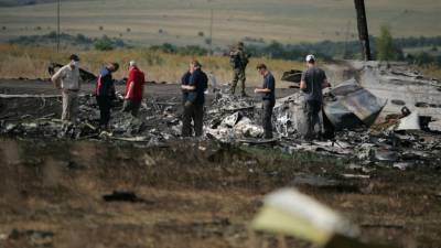 Эксперт нашел очередное доказательство теракта на борту MH17 - inforeactor.ru