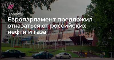 Алексей Навальный - Манфред Вебер - Европарламент предложил отказаться от российских нефти и газа - tvrain.ru - county Swift