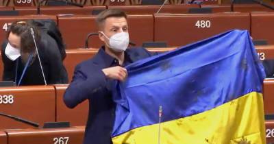 Алексей Гончаренко - Петр Толстой - Двойные стандарты: Украина в ПАСЕ отреагировала на лишение Гончаренко права голоса - dsnews.ua
