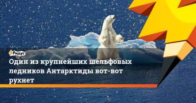 Один из крупнейших шельфовых ледников Антарктиды вот-вот рухнет - ridus.ru - Англия - Антарктида