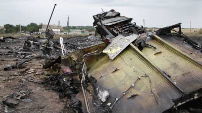 Американский политолог усомнился в непричастности Украины в крушении MH17 - nation-news.ru - Голландия
