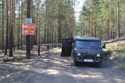 На майские праздники в Бурятии усилят патрулированием лесов - ulan.mk.ru - Улан-Удэ - респ.Бурятия