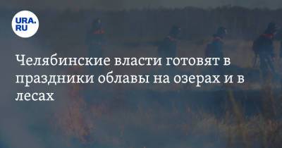 Сергей Лавров - Челябинские власти готовят в праздники облавы на озерах и в лесах - ura.news - Челябинская обл.